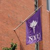 New York University