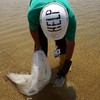 A contract worker patrol the beach to pick up oil that washed ashore on a public beach on June 2, 2010 in Dauphin Island, Alabama