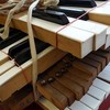 Old piano keys
