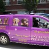 Adam Dally's A to Z Couriers van