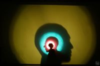 Pilobolus