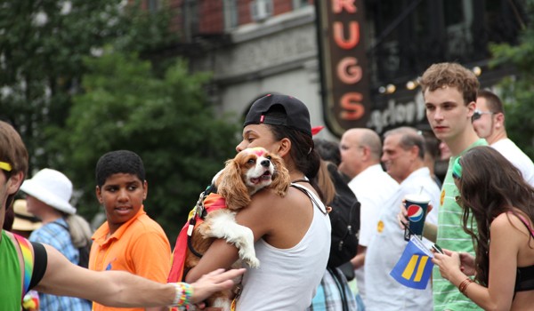 gay pride parade 2011 New York City