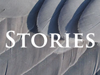 Requiem Project Stories