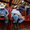 Rodeo hands wearing cowboy hats