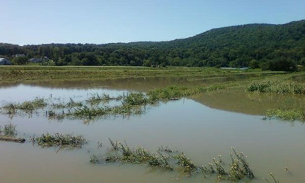 The Rogowski Farm is still mostly underwater in Pine Island, New York.