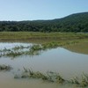 The Rogowski Farm is still mostly underwater in Pine Island, New York.
