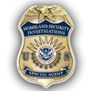 ICE website seizures
