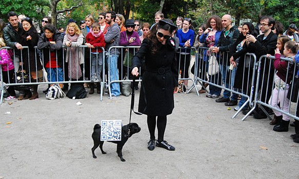This dog dressed as a QR code placed second in the third round of awards.