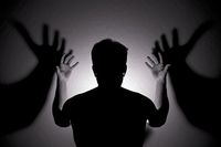 Shadow hands