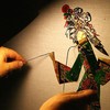 Shadow puppet