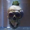 Studio 360 Blog