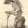 skull sit