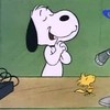 She’s a good Skate, Charlie Brown