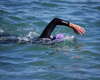 Swimmer