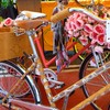 Elie Tahari's bike has snakeskin on it. When asked if the material would hold up, Tahari said snakes were waterproof.