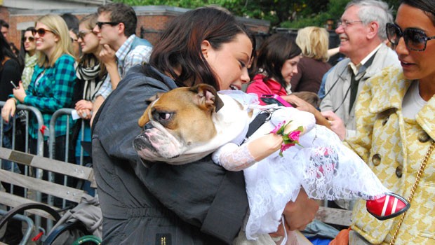 Tank, who was dressed up as a runaway bride, looked ready to run away from the parade.