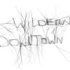 The Wilderness Downtown