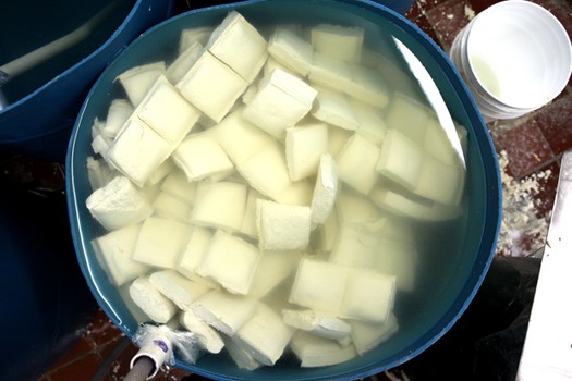 Tofu soaking at the factory.