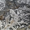 Edward Burtynsky's 'Dryland Farming #7' was taken in Monegros County in Aragon, Spain in 2010. It's on view now at Burce Wolkowitz Gallery. 