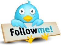 Twitter Bird