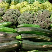 Green Vegetables, 500 x 500