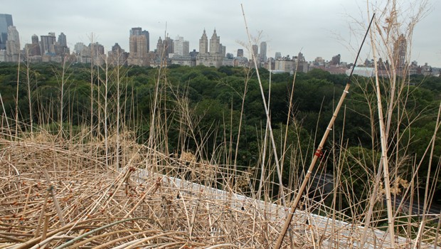 View of the Upper West side from the top of the 