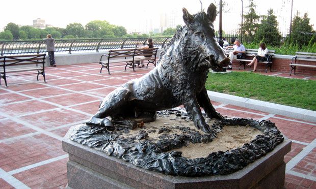 The bronze wild boar 'Porcellino' sculpture by Pietro Tacca in Manhattan's Sutton Place Park.
