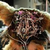 Wire head