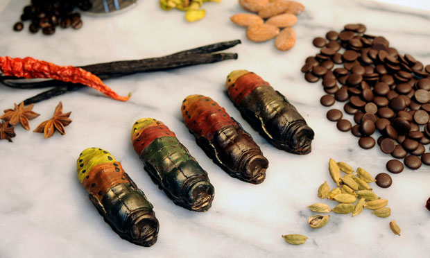 The Wildlife Conservation Society's Cocoa-Roach