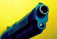 Gun barrel
