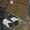 Two young detainees in a U.S. Customs and Border Protection holding cell — in 2014.