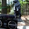 Boombox in Adam Yauch Park naming ceremony in Brooklyn Heights.