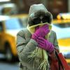 A woman braces from the cold during the morning commute in New York City November 25, 2013 as temperatures dropped into the lower 30s.