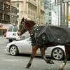A carriage horse clops through traffic down 55th Street in Manhattan, back toward the West Side Stables.