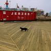 A black cat crosses the boardwalk near Casino Pier in Seaside heights just a few days before Memorial Day. coastcheck