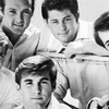 The Beach Boys (1965)