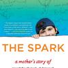 The Spark by Kristine Barnett