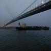 View from Seastreak ferry under the Verrazao Narrows Bridge heading to Lower Manhattan.