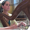 Schubert's 'Ave Maria,' right at home on the Celtic Harp