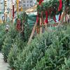 Christmas trees for sale in Manhattan