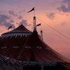A circus tent from Circus Flora.