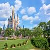 Cinderella Castle and Dragon Topiary at Walt Disney World