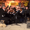 A dog wandered into a performance by the Vienna Chamber Orchestra.