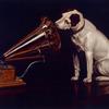 Nipper the RCA dog, painted by Francis Barraud (1929) .