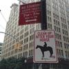 horse, etiquette, sign