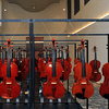 Museo del Violino