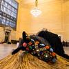 Nick Cave horse, at rest in Grand Central Station’s Vanderbilt Hall