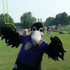 The Ravens' mascot, Poe