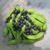 Panther edamame in fresh, edible form and as mature seed