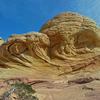 Brain rocks above the Wave (Coyote Butte North, Arizona)